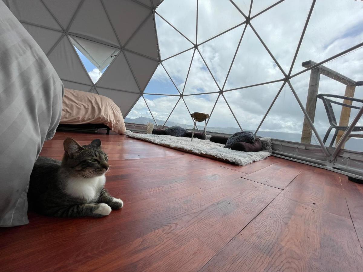 Glamping Wayra Villa Guatavita Eksteriør billede